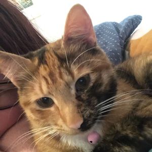 Meet your Posher, Aurora